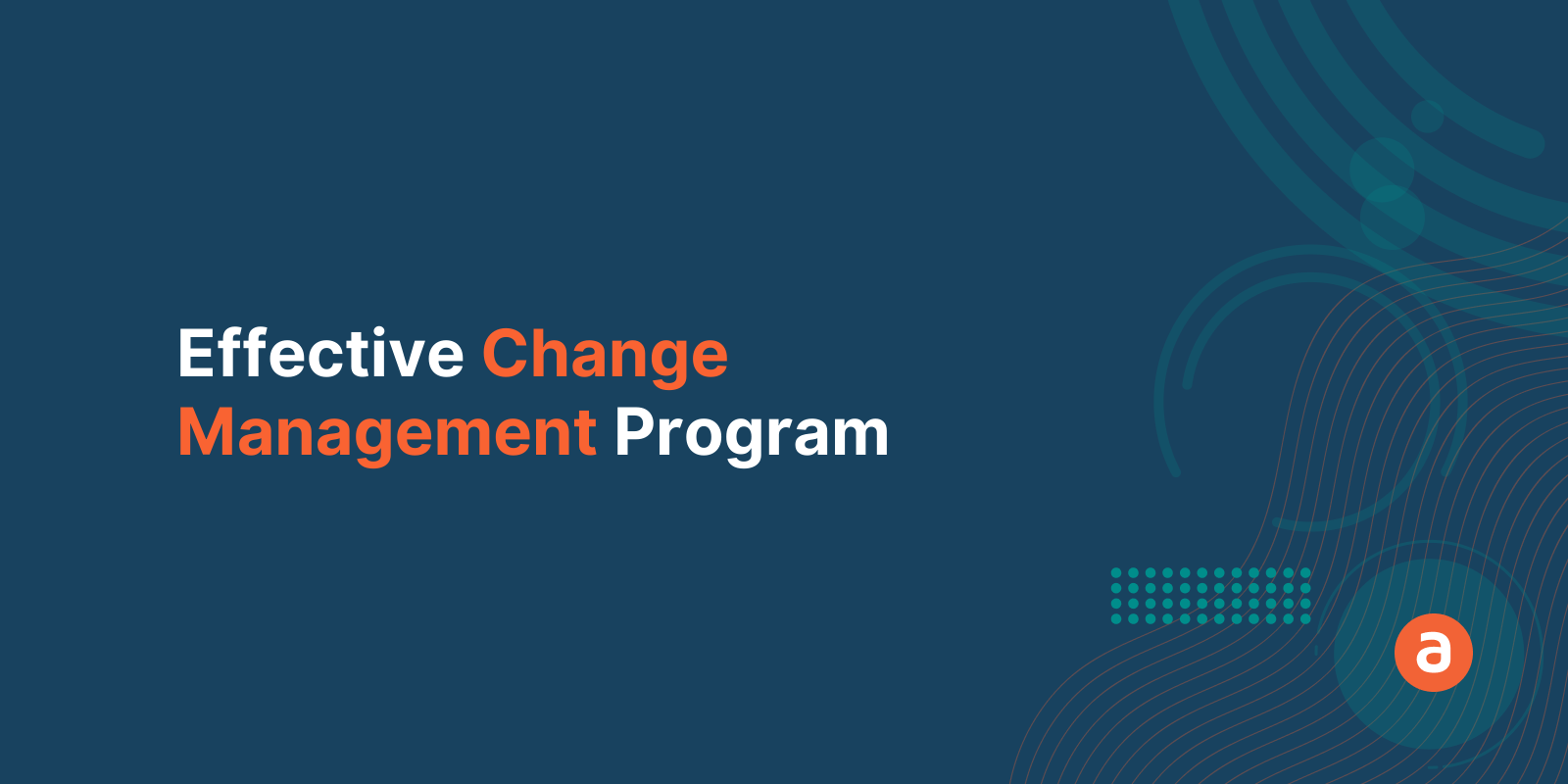 Effective Change Management Program